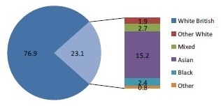 Diversity - Walsall Insight